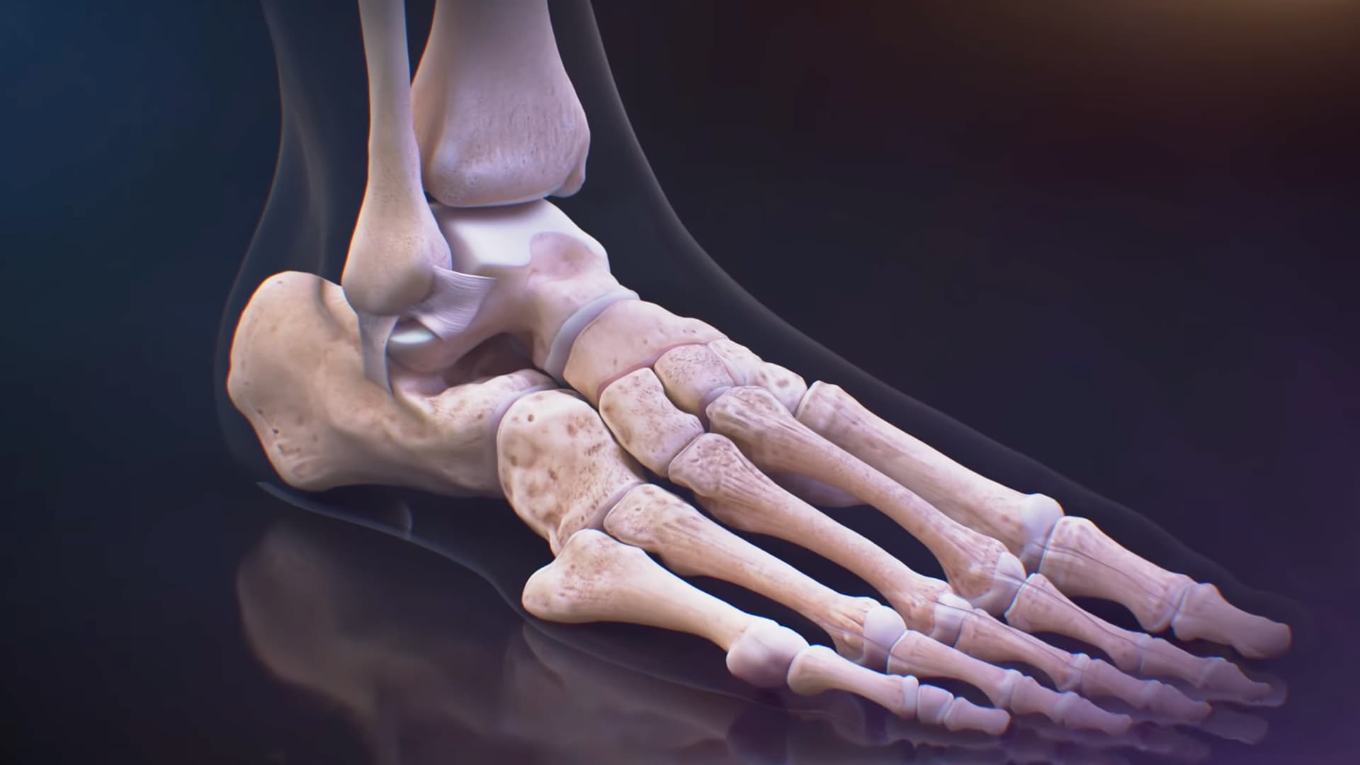 Arthrex Ankle Software cover image